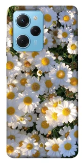 Чохол на Xiaomi Poco X5 Pro 5G Поле ромашок фото 1 з 1