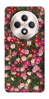 Чохол на Oppo Reno 12 F 4G/5G Flowers v8 фото 1 з 1