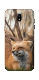 Чехол на Samsung Galaxy J5 (2017) Лиса фото 1 из 1