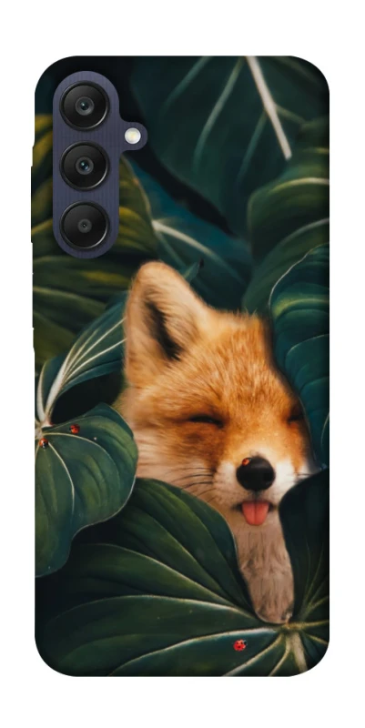 Чохол на Samsung Galaxy A25 5G Fox фото 1 з 1