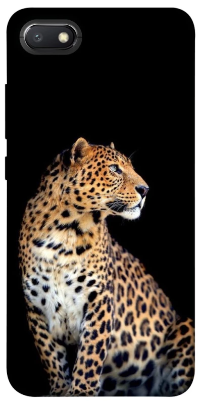 Чохол на Xiaomi Redmi 6A Leopard v2 фото 1 з 1