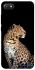 Чохол на Xiaomi Redmi 6A Leopard v2 фото 1 з 1