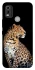 Чохол на Nokia C21 Plus Leopard v2 фото 1 з 1