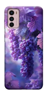 Чехол на Motorola Moto G42 Bunch of grapes фото 1 из 1