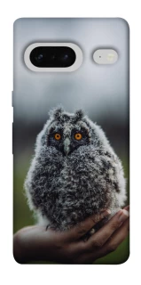 Чохол на Google Pixel 7 Совеня фото 1 з 1