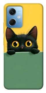 Чехол на Xiaomi Redmi Note 12 5G Black cat v2 фото 1 из 1
