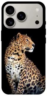 Чехол на Apple iPhone 18 Pro Leopard v2 фото 1 из 2