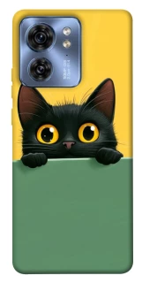 Чехол на Motorola Edge 40 Black cat v2 фото 1 из 1