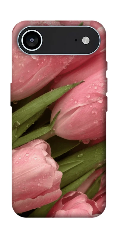 Чохол на Apple iPhone 17 Air (6.5") Beauty фото 1 з 1