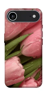 Чохол на Apple iPhone 17 Air (6.5") Beauty фото 1 Чохол на Apple iPhone 17 Air (6.5") Beauty фото 1 з 1