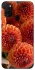 Чохол на Samsung Galaxy M21 Flower1 фото 1 з 1