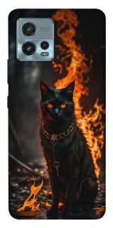 Чохол на Motorola Moto G72 Вогняний кіт фото 1 з 1