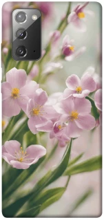 Чехол на Samsung Galaxy Note 20 Spring фото 1 из 1