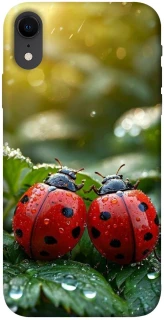 Чохол на Apple iPhone XR (6.1") Flowers v23 фото 1 з 1