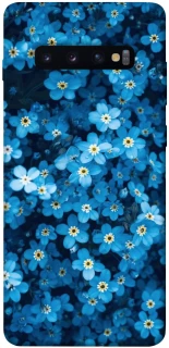 Чехол на Samsung Galaxy S10+ Flowers v6 фото 1 из 1