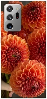 Чохол на Samsung Galaxy Note 20 Ultra Flower1 фото 1 з 1
