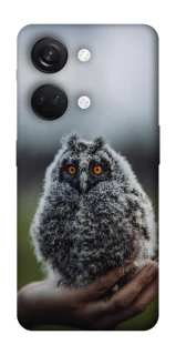 Чехол на OnePlus Nord 3 Совёнок фото 1 из 1