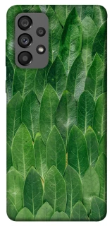 Чохол на Samsung Galaxy A73 5G Листя фото 1 з 1