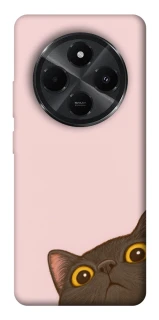 Чехол на Xiaomi Poco M7 Peeping cat фото 1 Чехол на Xiaomi Poco M7 Peeping cat фото 1 из 1