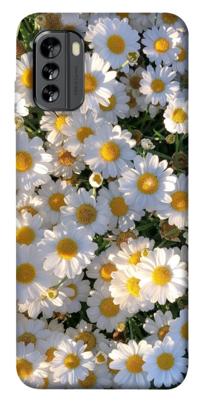 Чехол на Nokia G60 Поле ромашек фото 1 из 1