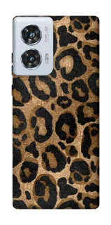 Чохол на Motorola Edge 50 Fusion Leopard Skin фото 1 з 1