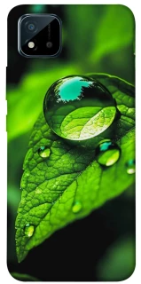 Чохол на Realme C11 (2021) Flowers v16 фото 1 з 1