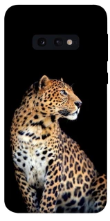 Чехол на Samsung Galaxy S10e Leopard v2 фото 1 из 1