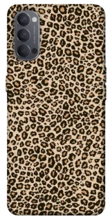 Чохол на Oppo Reno 4 Leopard Skin v2 фото 1 з 1
