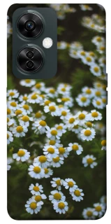 Чехол на OnePlus Nord CE 3 Lite Ромашки v13 фото 1 из 1