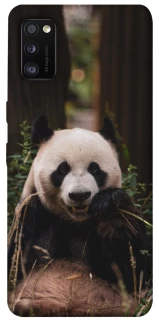 Чохол на Samsung Galaxy A41 Панда фото 1 з 1