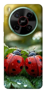 Чохол на ZTE Nubia V70 Max Flowers v23 фото 1 з 1