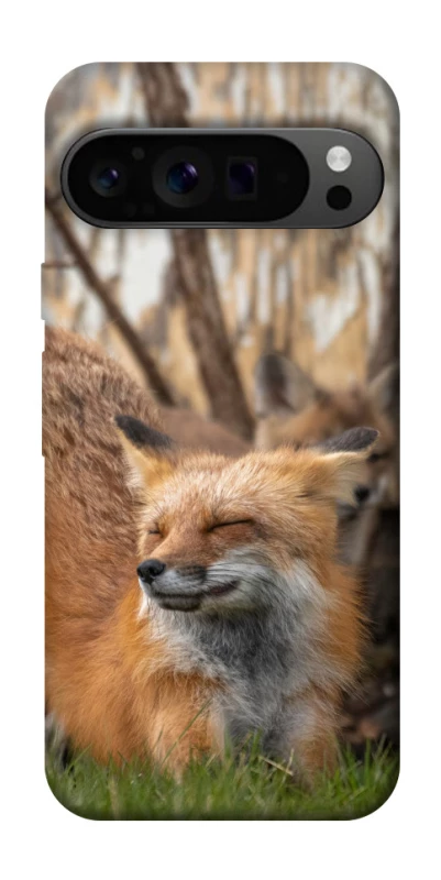 Чохол на Google Pixel 9 Pro Лисиця фото 1 з 1