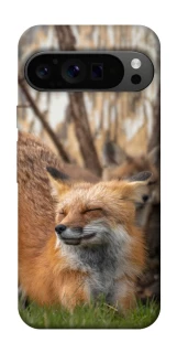 Чехол на Google Pixel 9 Pro Лиса фото 1 из 1