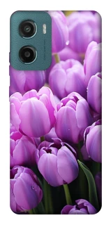 Чохол на Motorola Moto G06 Фіолетові тюльпани фото 1 з 1