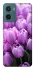 Чохол на Motorola Moto G06 Фіолетові тюльпани фото 1 з 1