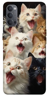 Чохол на Oppo Reno 4 Коти фото 1 з 1