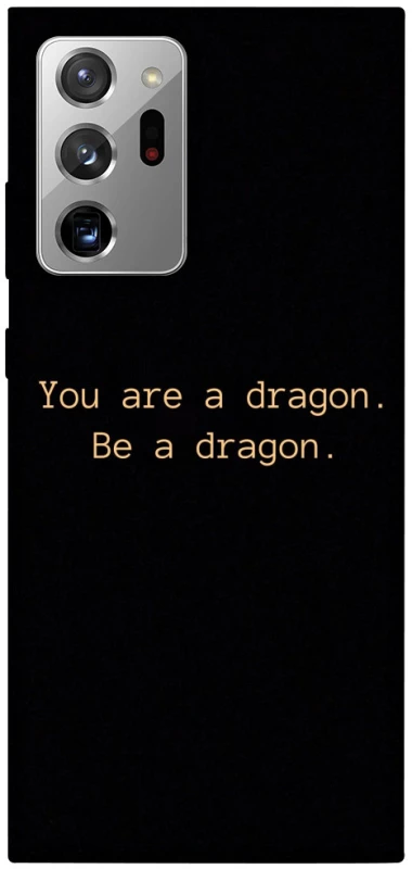 Чехол на Samsung Galaxy Note 20 Ultra House of the Dragon ver.9 фото 1 из 1