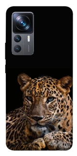 Чехол на Xiaomi 12T / 12T Pro Leopard v4 фото 1 из 1