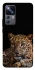 Чехол на Xiaomi 12T / 12T Pro Leopard v4 фото 1 из 1