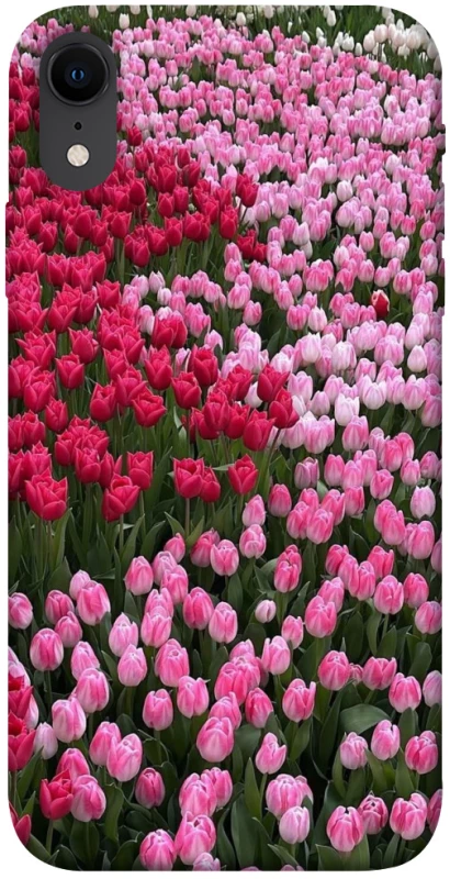 Чохол на Apple iPhone XR (6.1") Flowers v9 фото 1 з 1