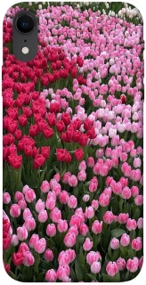 Чехол на Apple iPhone XR (6.1") Flowers v9 фото 1 из 1