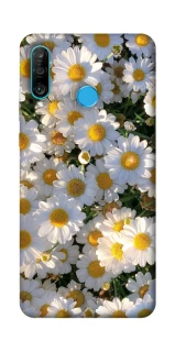 Чохол на Huawei P30 lite Поле ромашок фото 1 з 1