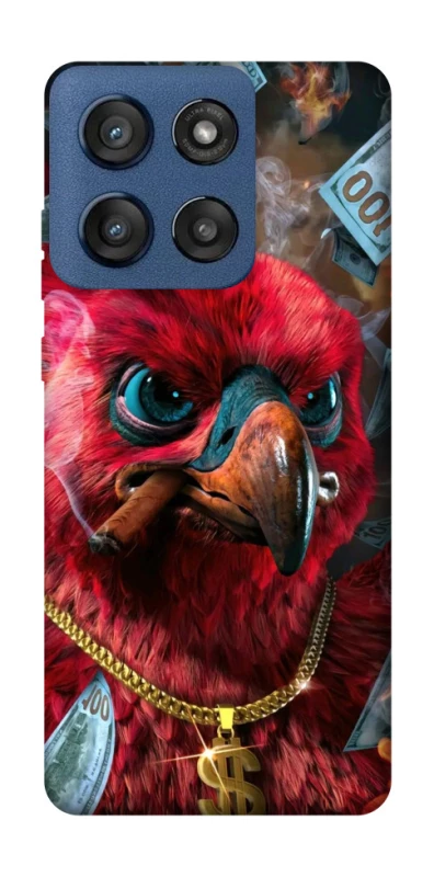 Чохол на Motorola Edge 60 Stylus Папуга фото 1 з 1