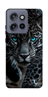 Чохол на Motorola Edge 50 Neo blue eye leo фото 1 з 1