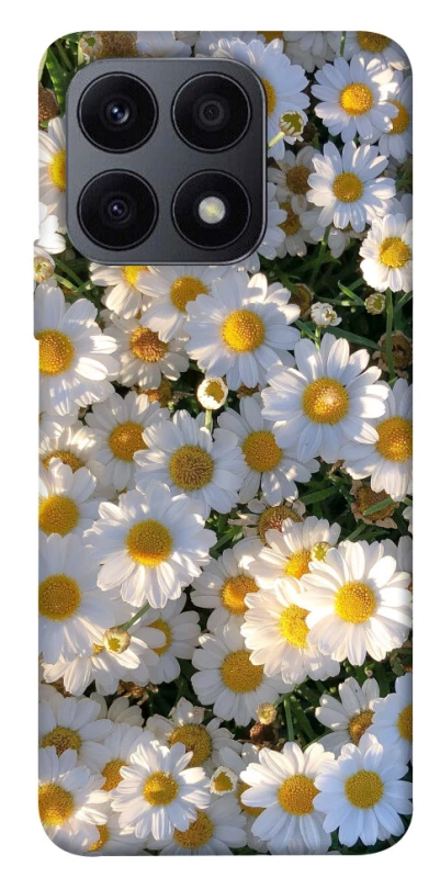Чехол на Huawei Honor X8a Поле ромашек фото 1 из 1