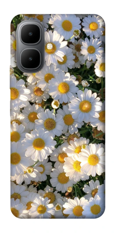 Чохол на Infinix Smart 10 Поле ромашок фото 1 з 1