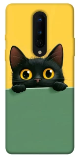 Чехол на OnePlus 8 Black cat v2 фото 1 из 1