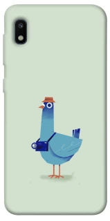 Чохол на Samsung Galaxy A10 (A105F) Голуб-детектив фото 1 з 1