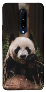Чехол на OnePlus 7 Pro Панда фото 1 из 1