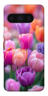 Чохол на Google Pixel 8 Pro Тюльпанове поле фото 1 з 1